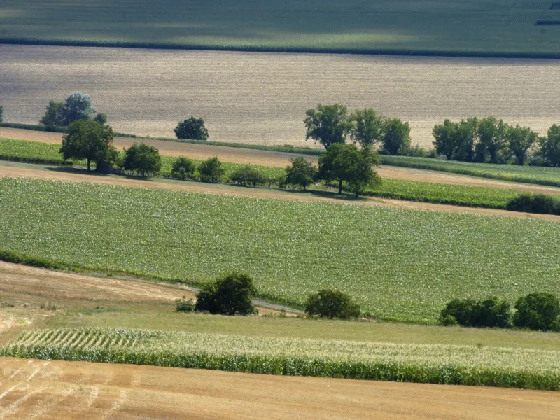 Plaine de la Limagne