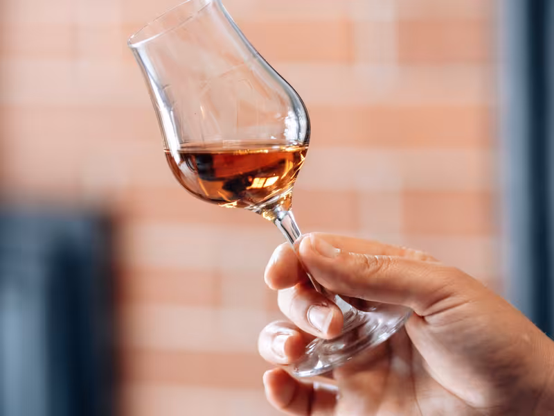 Dégustation de Cognac à Graves-Saint-Amand