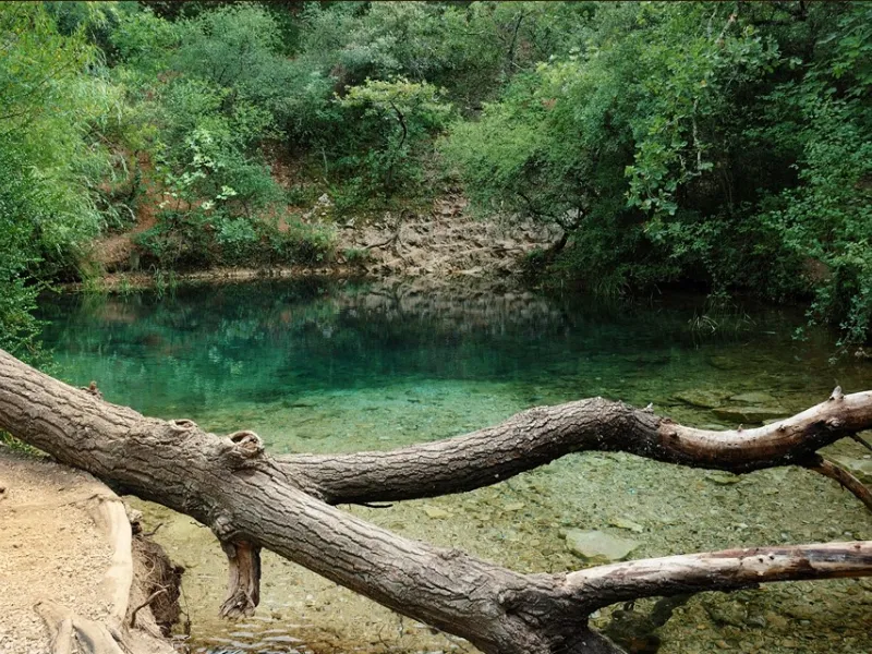 Résurgence de la Font Vive - Grospierre