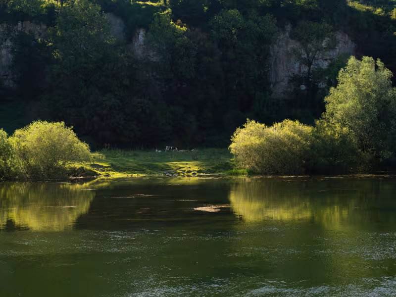 Le Doubs, rivière
