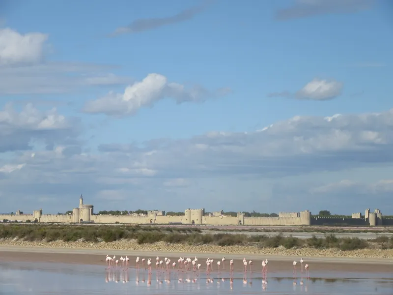 Salins d'Aigues-Mortes