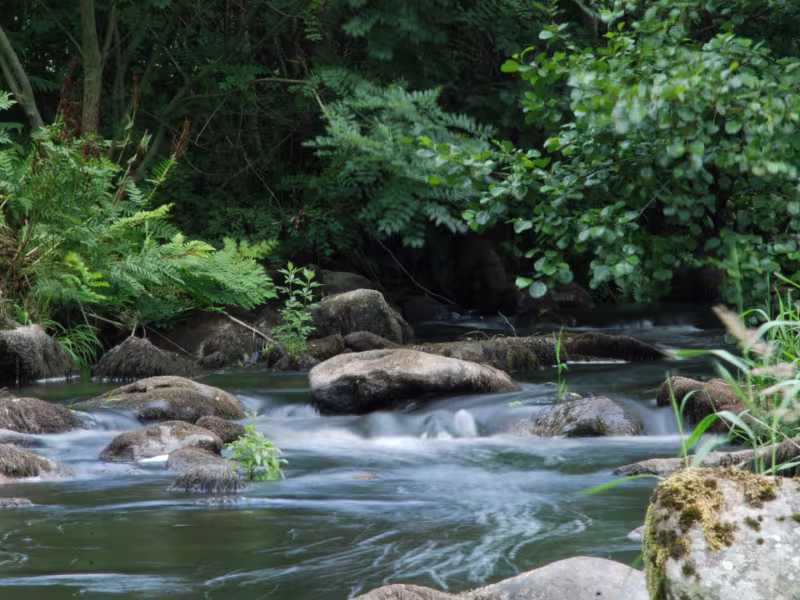 Rivière le Sarthon