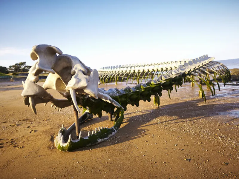 Huang Yong Ping Serpent d’ocean à Saint-Brevin-les-Pins