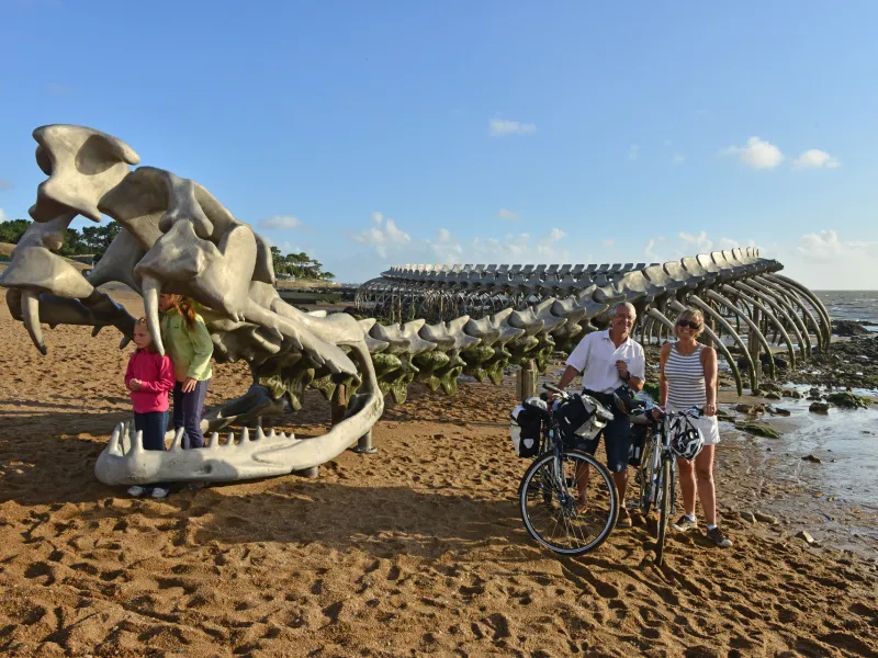 Serpent de Mer à Saint-Brévin