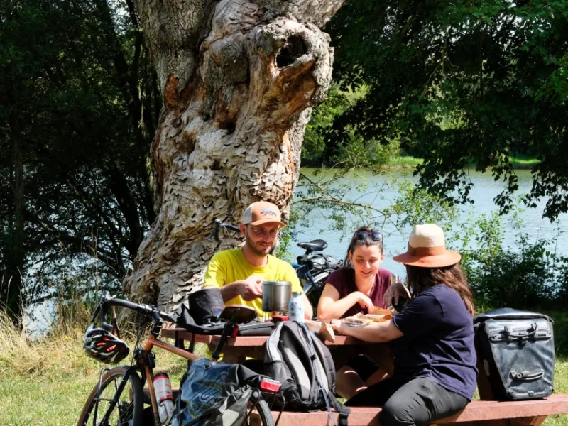 Table de pique-nique