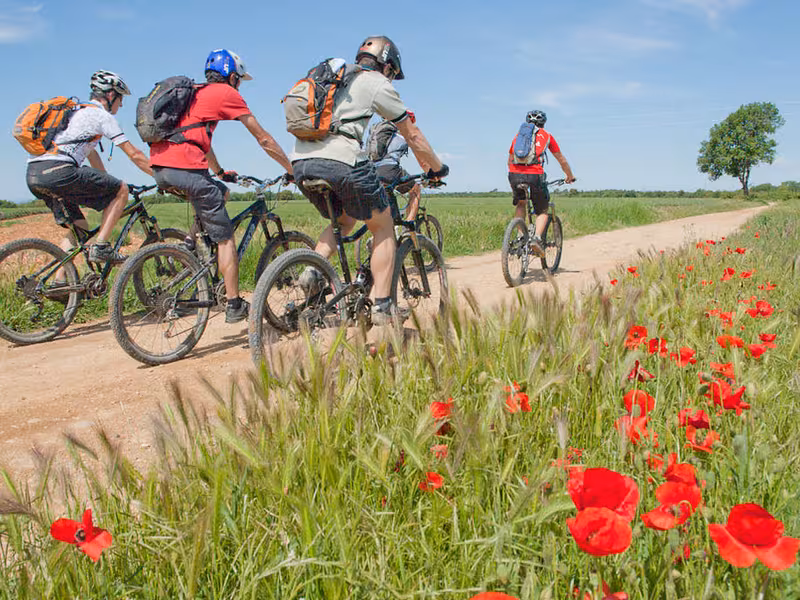 Vttistes sur le plateau de Valensole