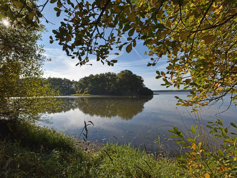 L'étang des Landes dans la Creuse