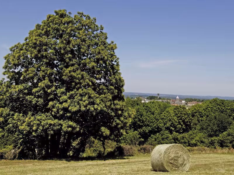 La campagne au nord de la Creuse