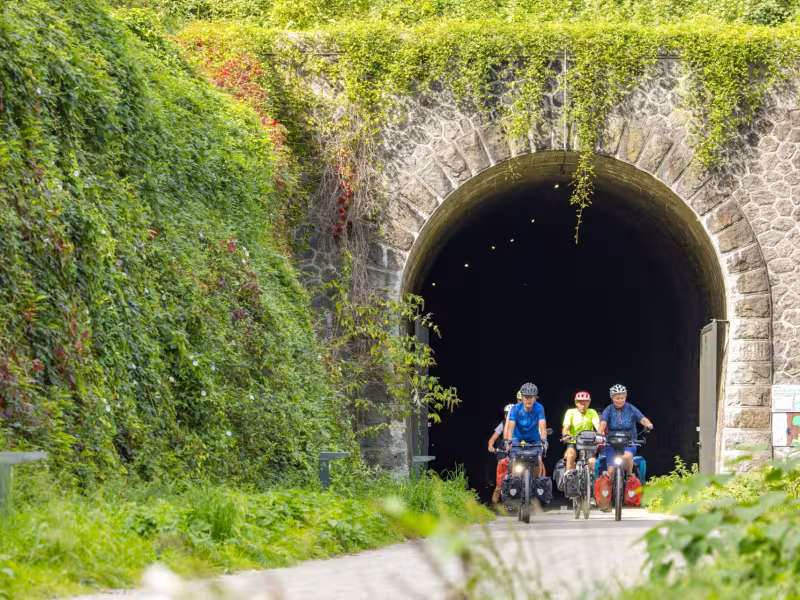 Tunnel ferrovaire de la voie verte de Fougères