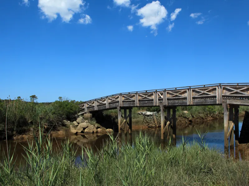 Vélo sur un pont en bois au Prés Salés d'Arès