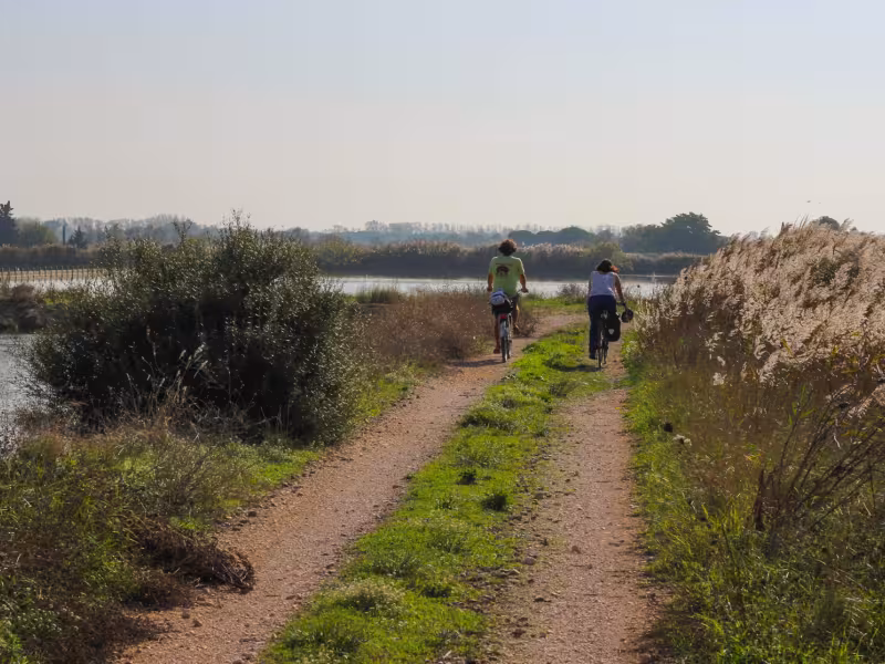 La Camargue avec Vélorizons