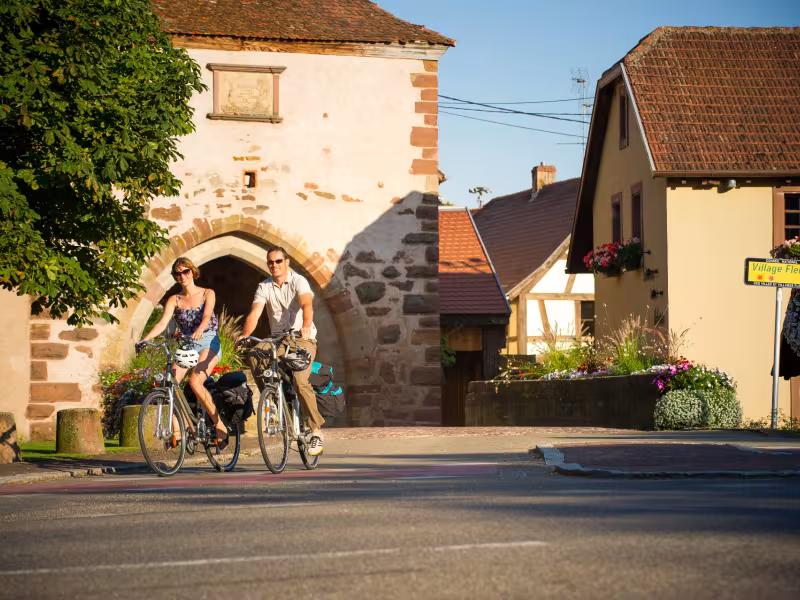 Véloroute du vignoble