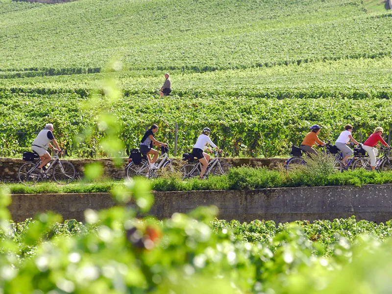Voie des vignes à vélo en Bourgogne 