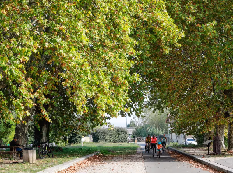 Sous les arbres de la voie verte