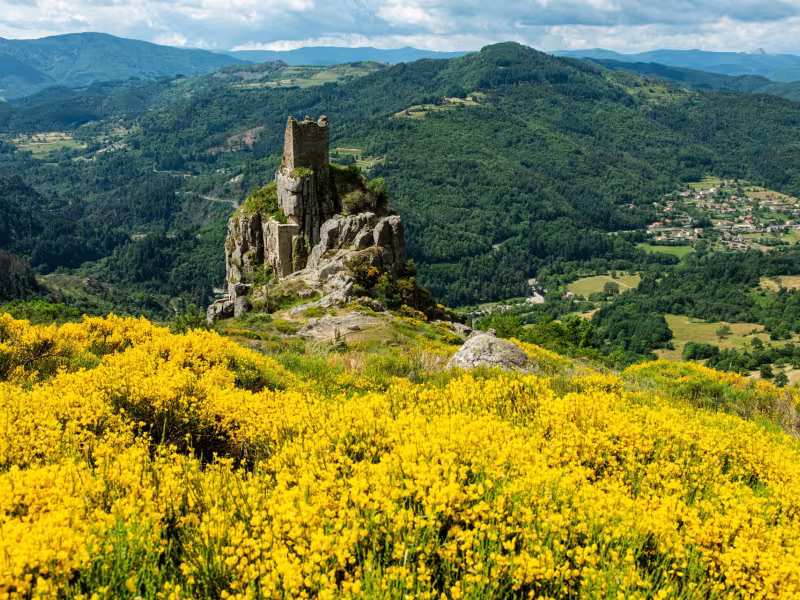 Vestiges du château de Rochebonne