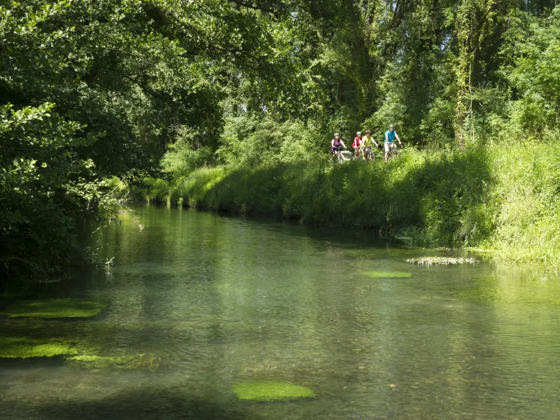 Sur ViaRhôna