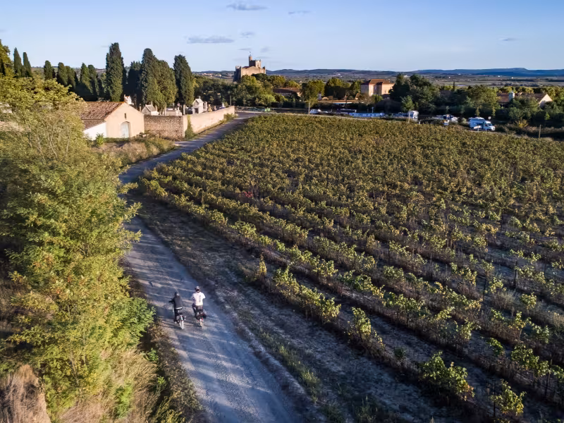 À travers les vignes à vélo - Capestang