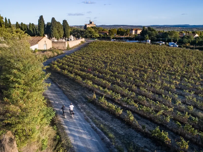 À travers les vignes à vélo - Capestang