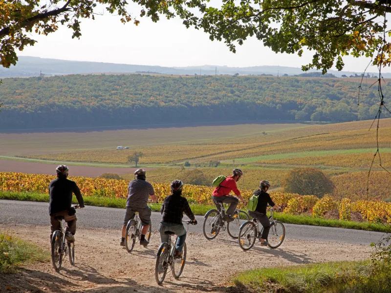 Les vignes de Sancerre à vélo