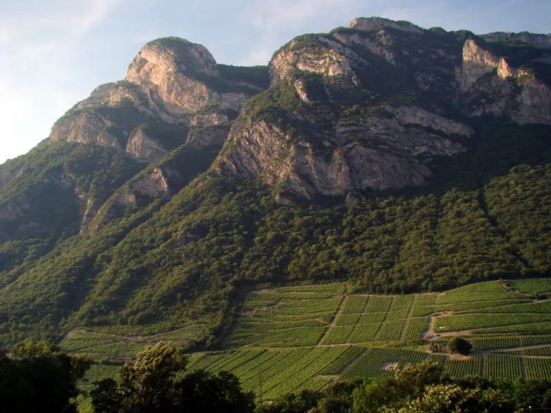 Vignoble de Montmélian la savoyarde