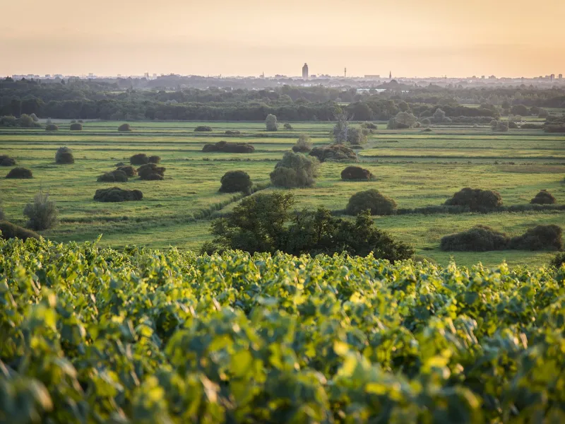 Les Dîners secrets du Voyage, dans le cadre du Voyage à Nantes 2014 © Christophe Bornet by Kristo