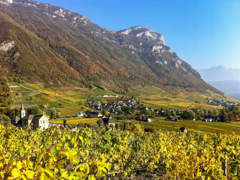 Coteaux des vignobles de Chignin