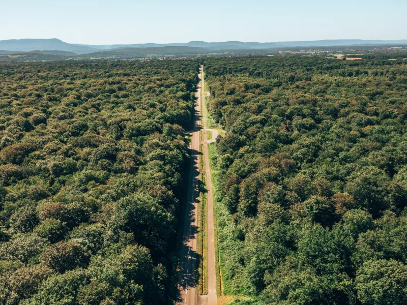 Voie des Salines, Voie Verte dans la Forêt de Chaux