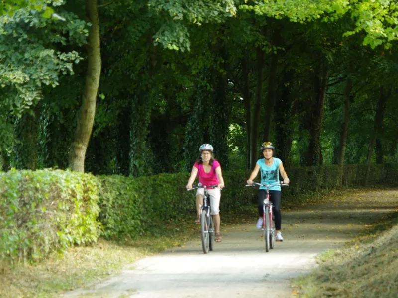 Voie verte arborée à St-Germain de Coglès