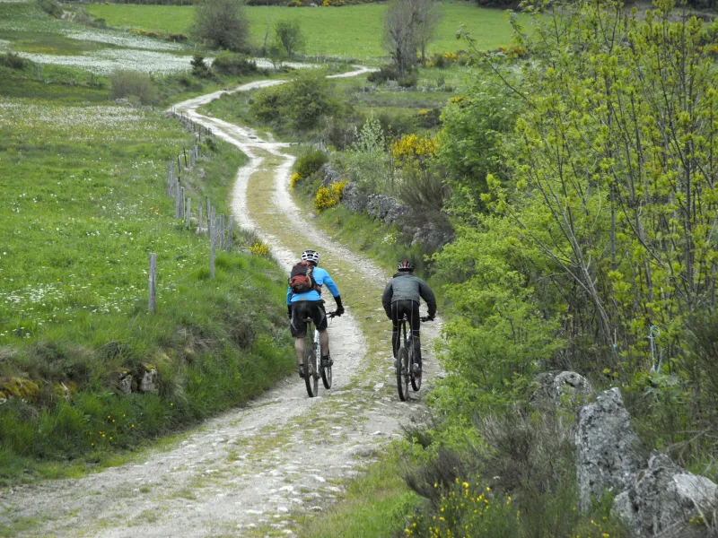 VTT sur piste vers Margeride