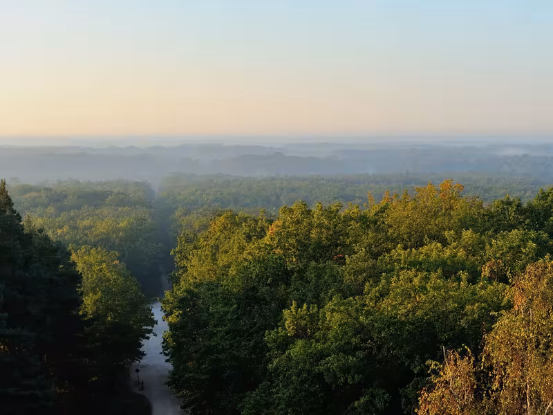 Vue sur la forêt d'Orléans depuis le belvédère des Caillettes