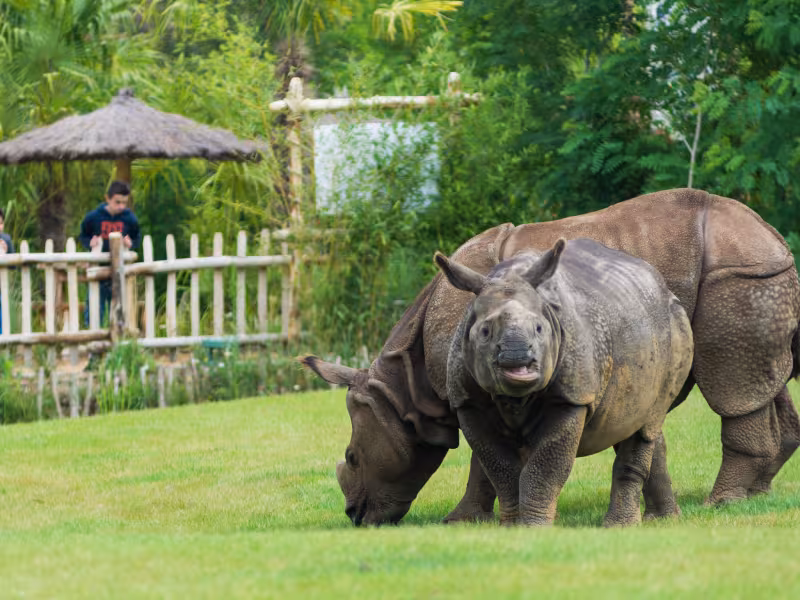 Zoo de La Flèche
