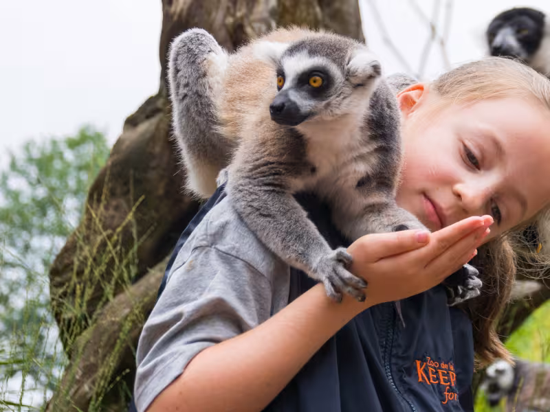 Au Zoo de La Flèche
