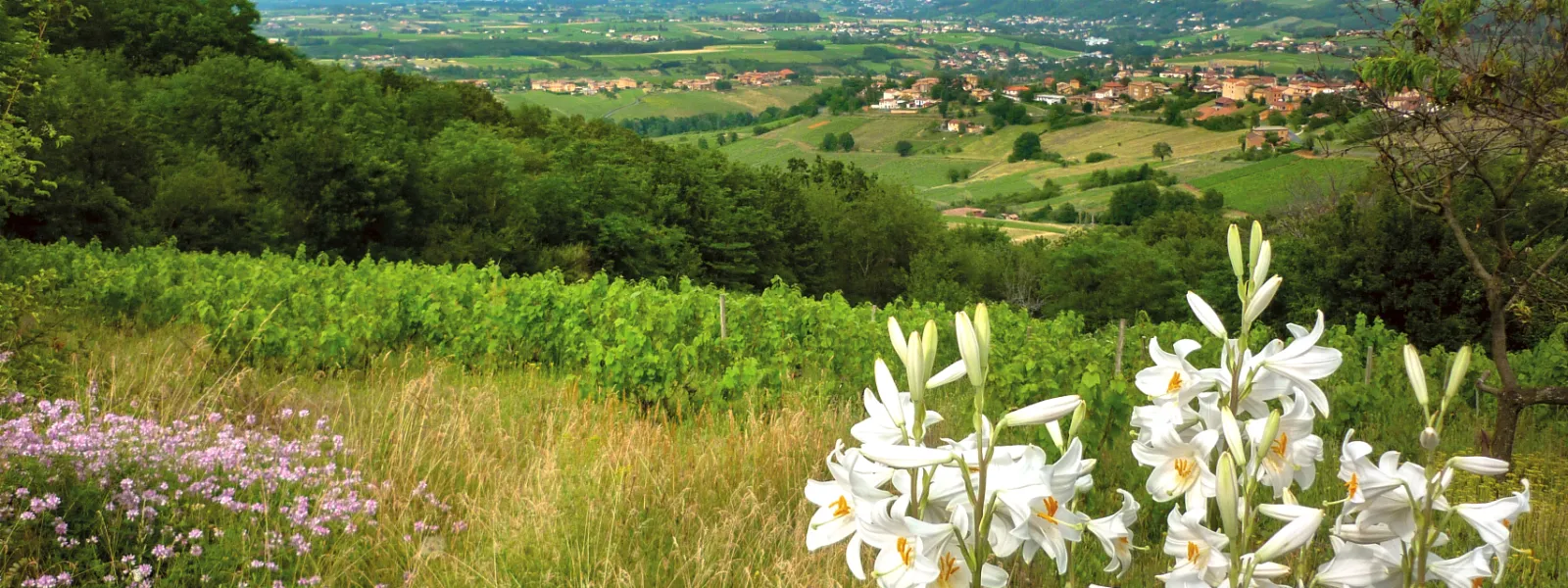 Sur la GTR en descendant le col du Bansillon