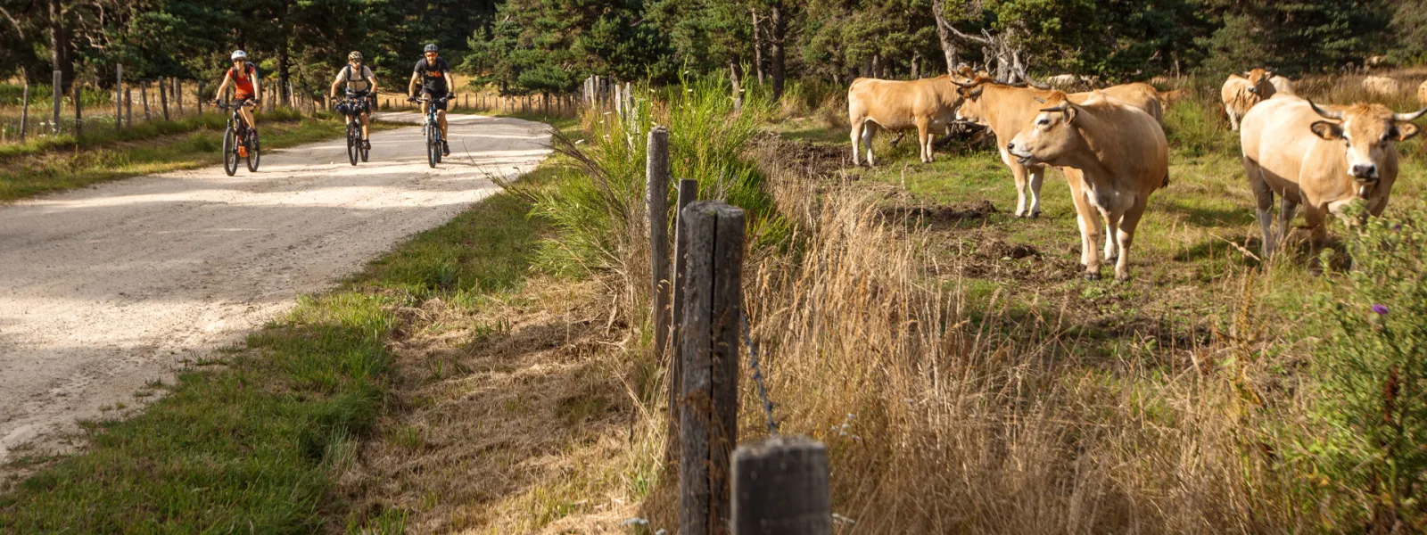 Parcours VTT d ela GTMC au domaine du Sauvage