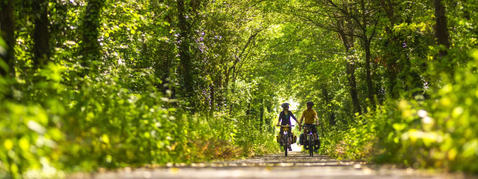 voie verte la flèche baugé sur la vélobuissonière