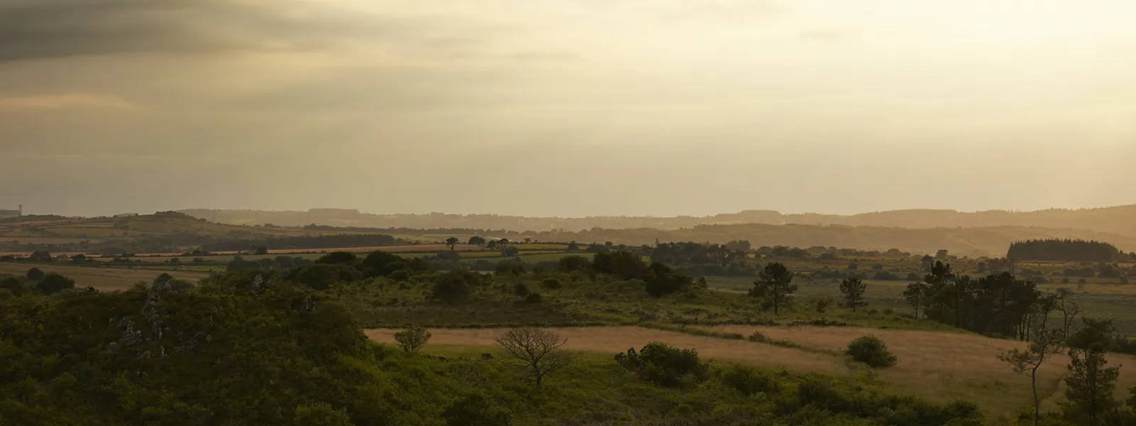 Landes du Cragou