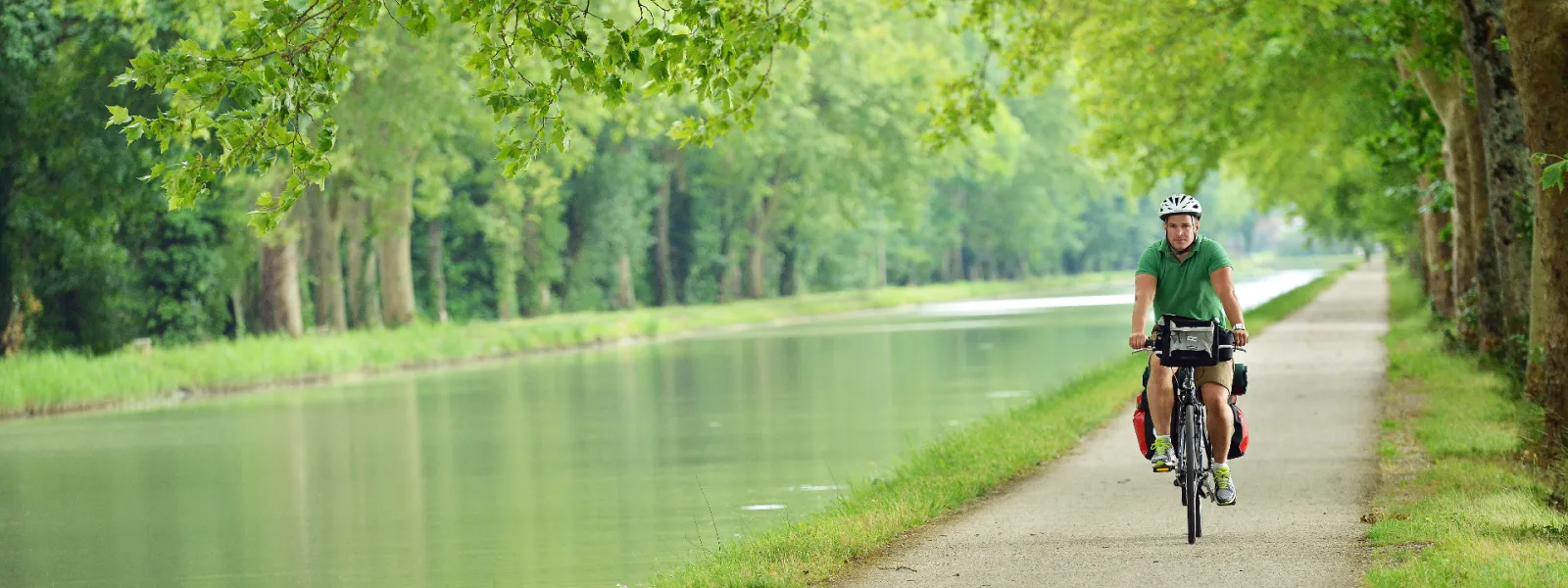 Balade à vélo sous les platanes du canal de Garonne