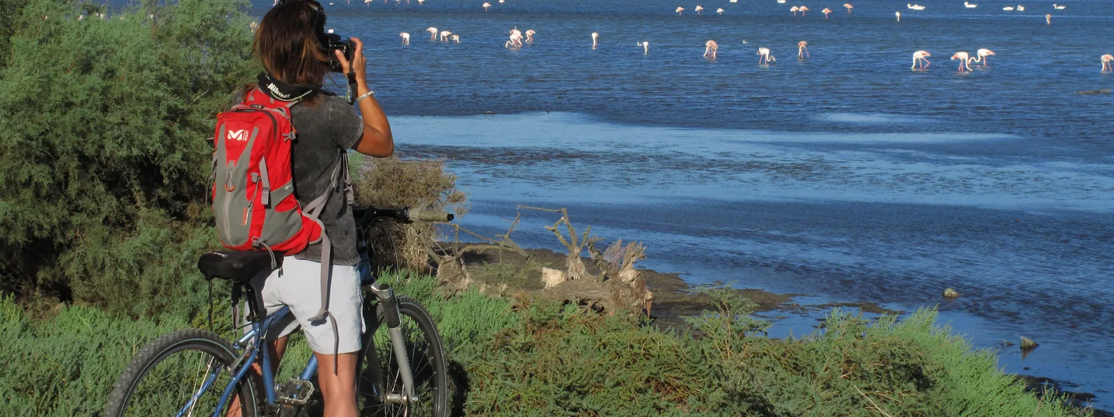 Étang de Vaccarès à vélo