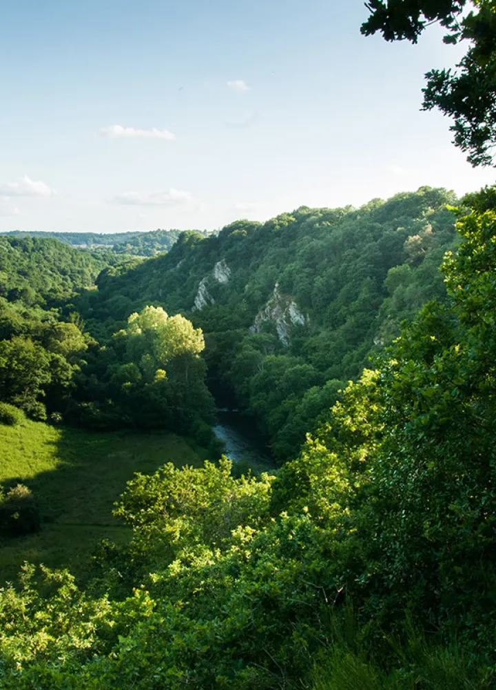 The Mancelles Alps
