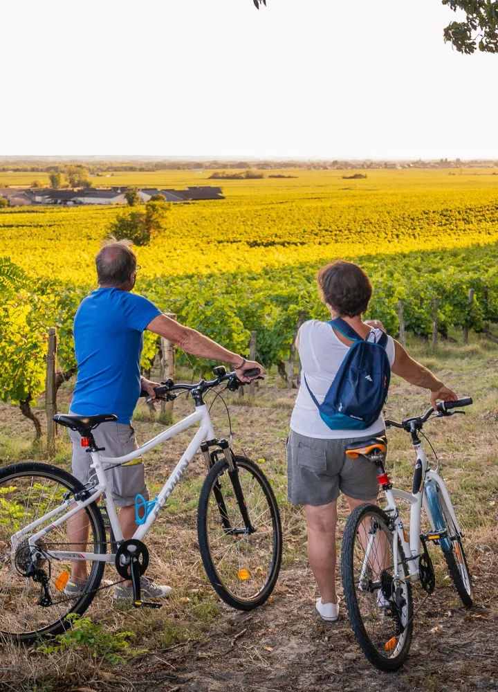 À vélo dans les vignes de Bourgueil