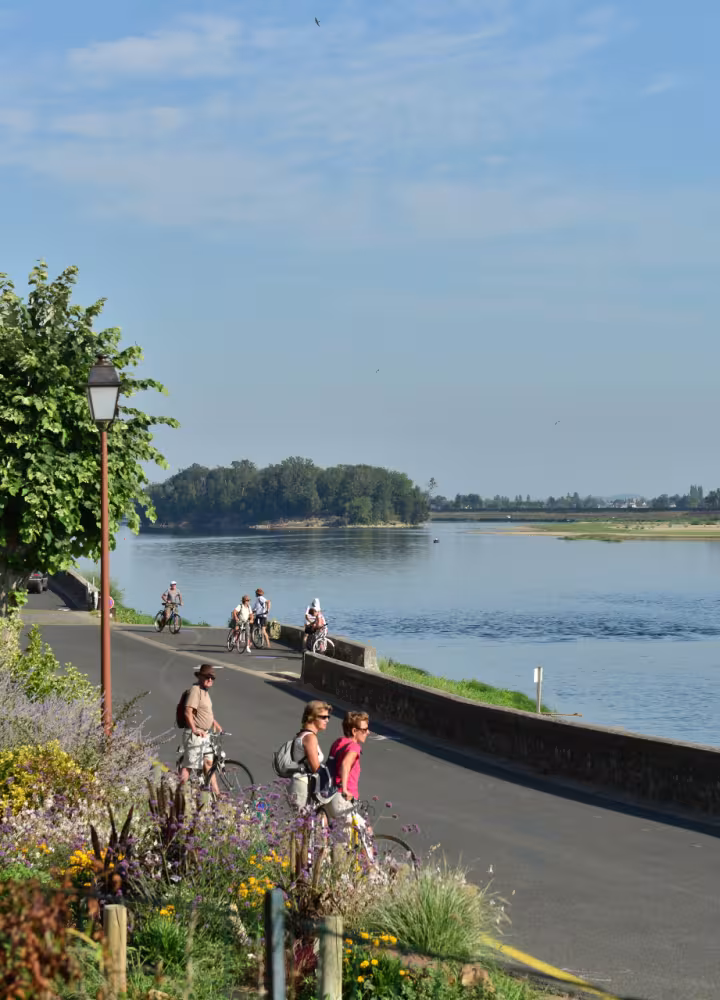 Cyclistes en bord de Loire au Thoureil