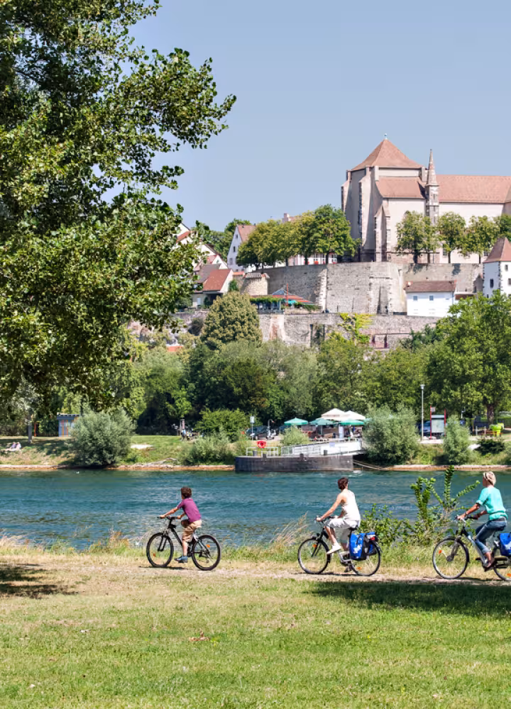 A vélo le long du Rhin vers Neuf-Brisach - Eurovélo 15