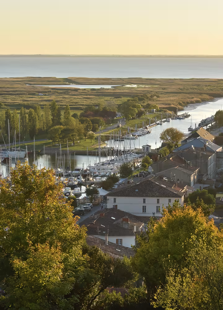 Panorama depuis Mortagne-sur-Gironde