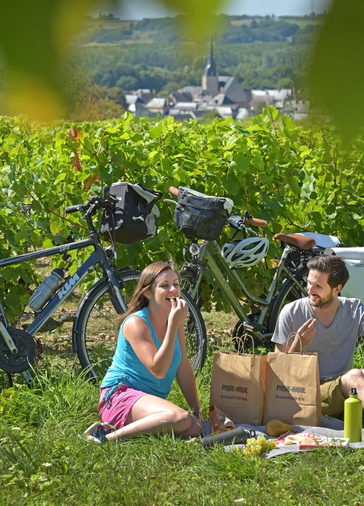 Pique-nique et vélo dans les vignes de la Vallée du Loir