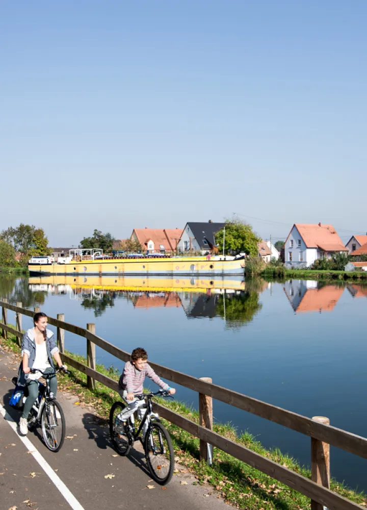 Piste cyclable de l'Eurovélo 15 le long du Rhin vers Strasbourg