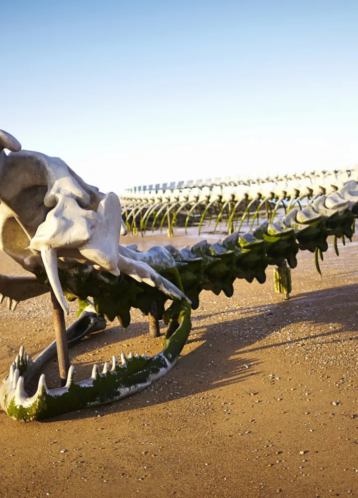 Le Serpent d'Océan - Oeuvre Estuaire