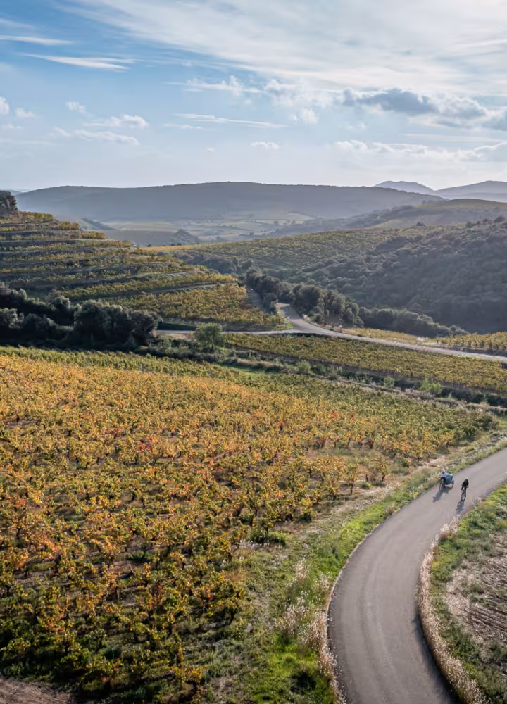 La Véloccitanie et les vignes héraultaises