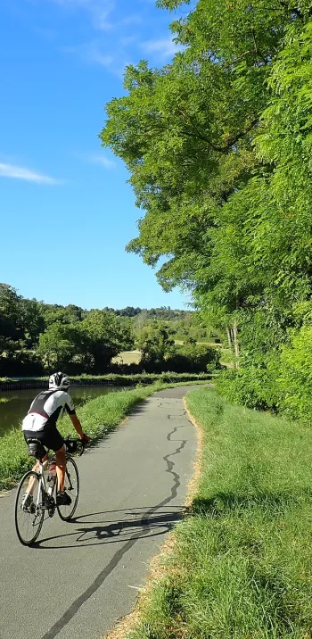 Cycliste sur le canal du Centre