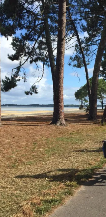 La Vélodyssée d'Arcachon à Biarritz à vélo avec Terres d'Aventure