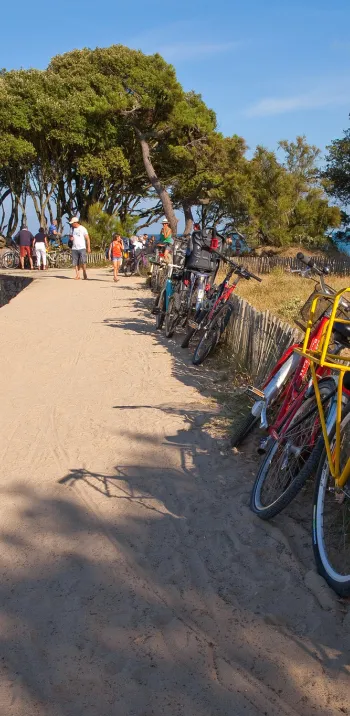Bord de mer sur la côte atlantique